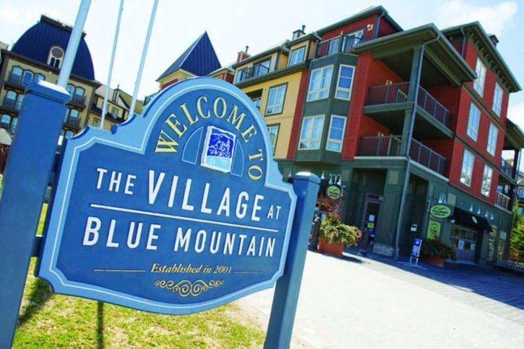 Blue Mountain Suites Blue Mountains Εξωτερικό φωτογραφία